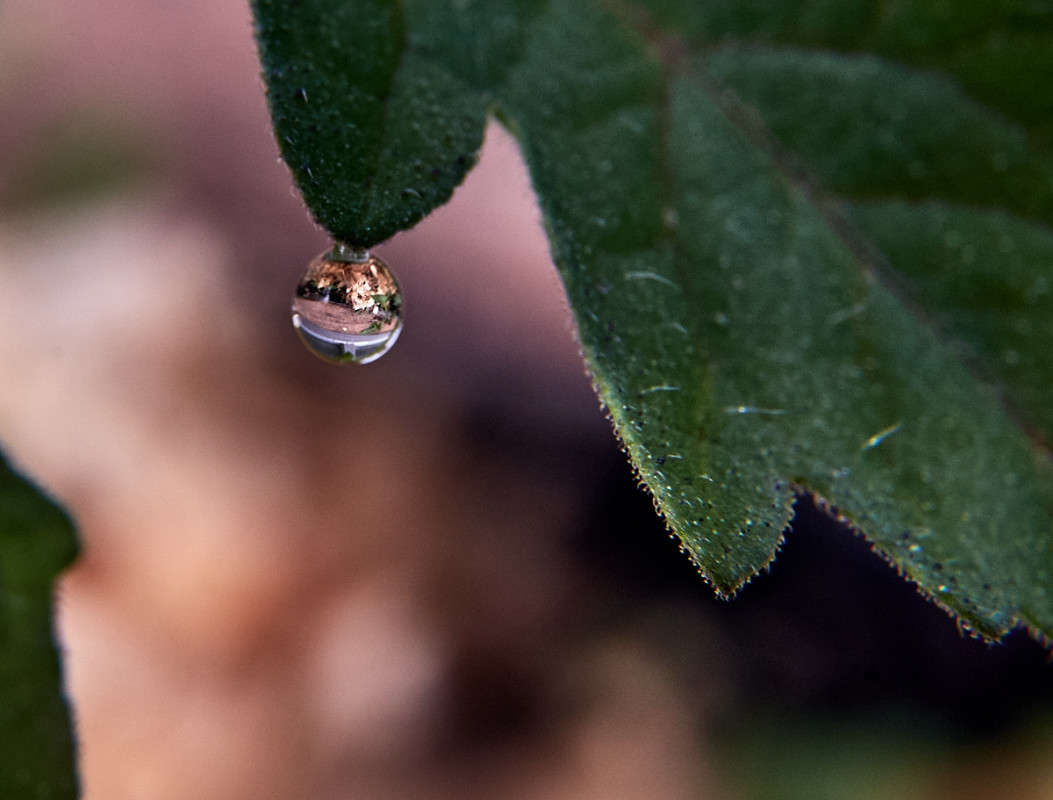 ... ����� Viktor Nogovitsin �� PhotoGeek.ru #�����