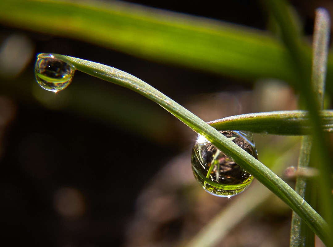 ... ����� Viktor Nogovitsin �� PhotoGeek.ru #�����