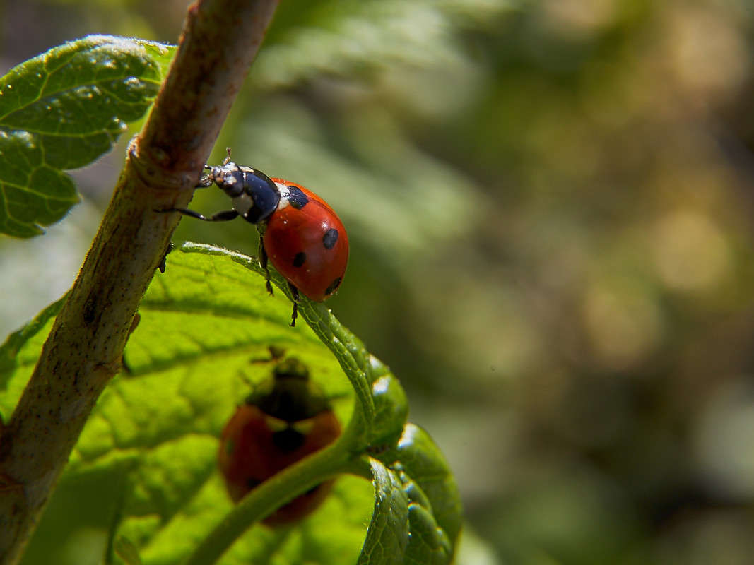 ... ����� Viktor Nogovitsin �� PhotoGeek.ru #�����