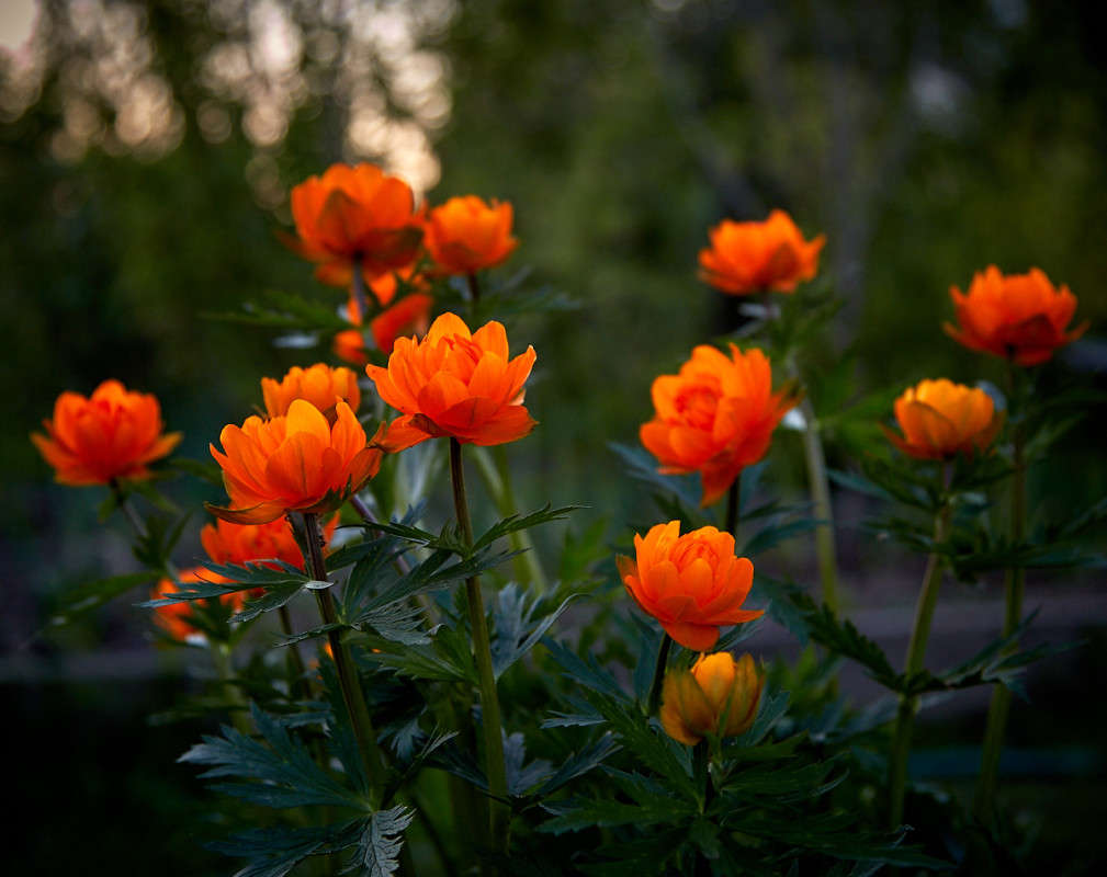 ... ����� Viktor Nogovitsin �� PhotoGeek.ru #������ ��� �������