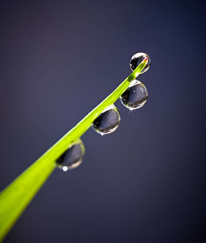 ... ����� Viktor Nogovitsin �� PhotoGeek.ru #�����