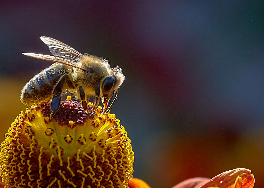 ... ����� Viktor Nogovitsin �� PhotoGeek.ru #�����