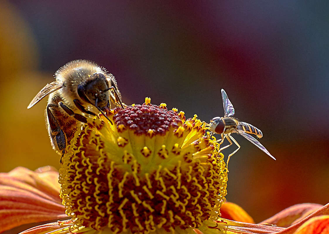 ... ����� Viktor Nogovitsin �� PhotoGeek.ru #�����