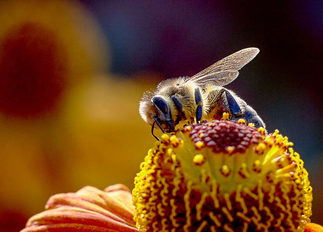 ... ����� Viktor Nogovitsin �� PhotoGeek.ru #�����