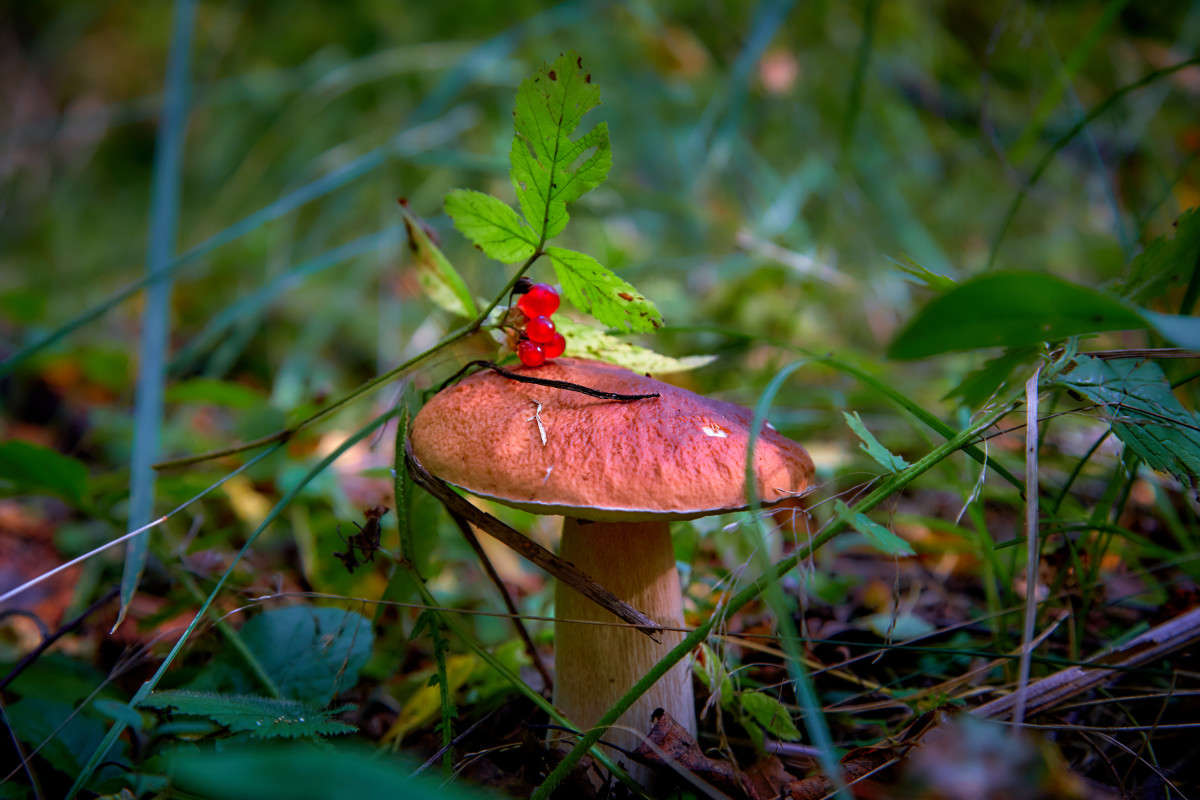 ... ����� Viktor Nogovitsin �� PhotoGeek.ru #������ ��� �������