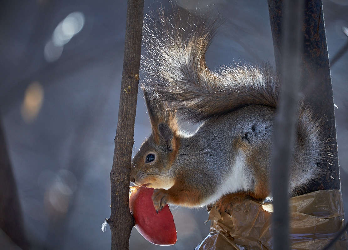 ... ����� Viktor Nogovitsin �� PhotoGeek.ru #�������� ���