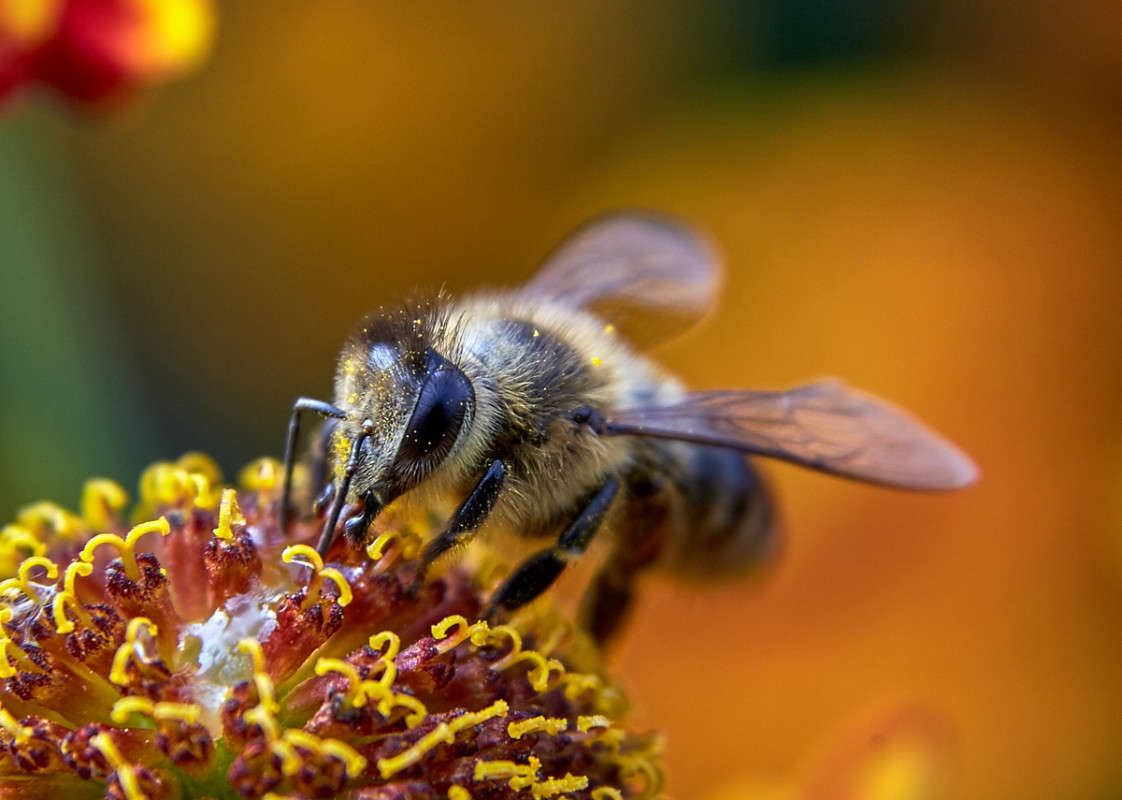 ... ����� Viktor Nogovitsin �� PhotoGeek.ru #�����