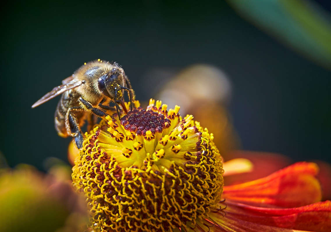 ... ����� Viktor Nogovitsin �� PhotoGeek.ru #�����