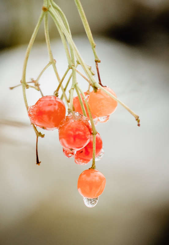 ... ����� Viktor Nogovitsin �� PhotoGeek.ru #�����