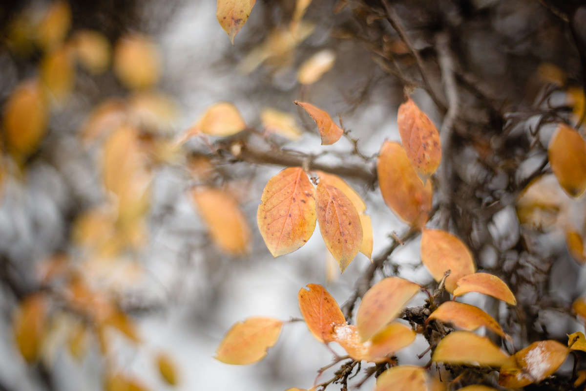 ... ����� Viktor Nogovitsin �� PhotoGeek.ru #������ ��� �������