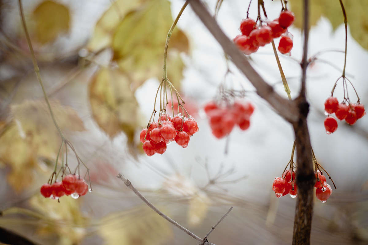 ... ����� Viktor Nogovitsin �� PhotoGeek.ru #������ ��� �������