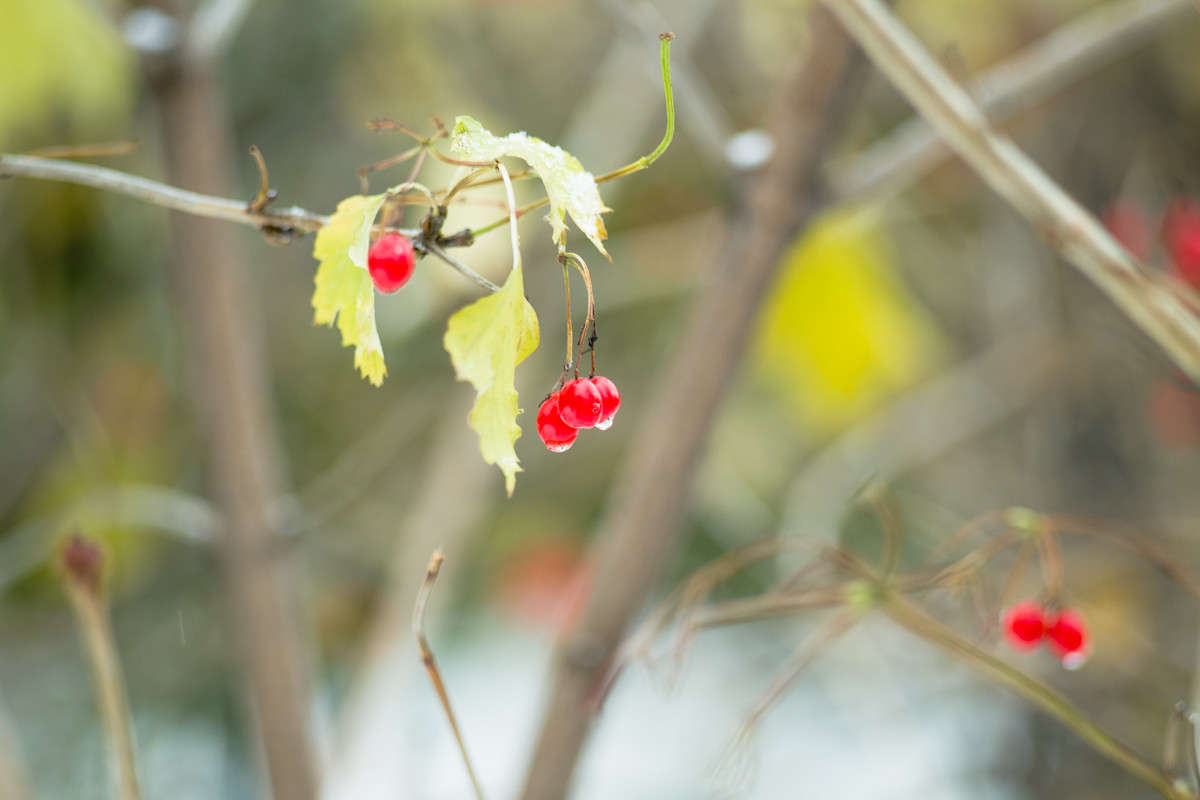 ... ����� Viktor Nogovitsin �� PhotoGeek.ru #����� #������ ��� �������