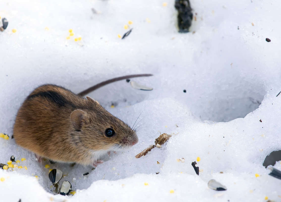 ... ����� Viktor Nogovitsin �� PhotoGeek.ru #�������� ���