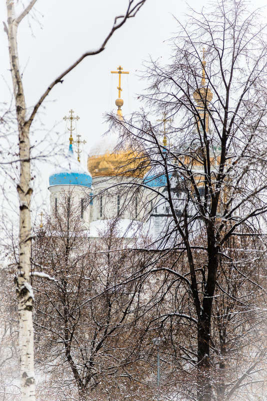 ... ����� Viktor Nogovitsin �� PhotoGeek.ru #����� #������ ��� ������� #�����������