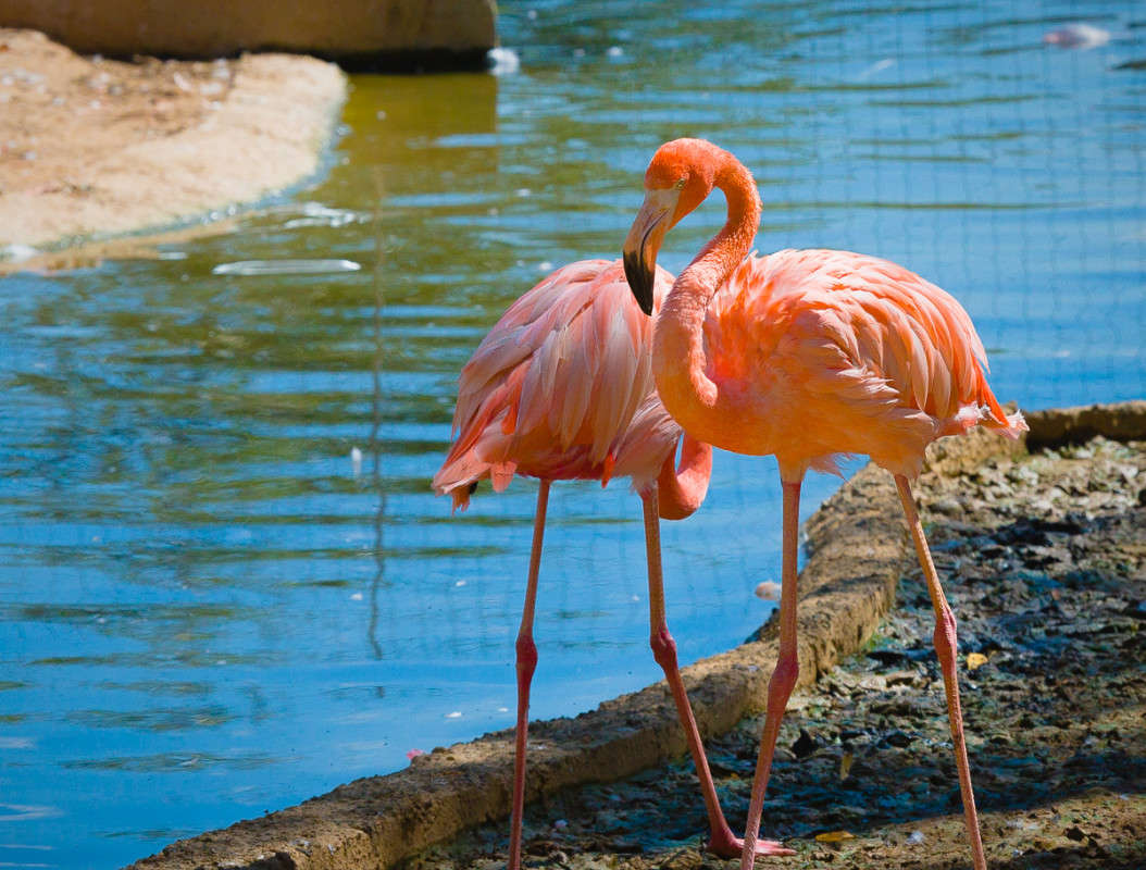 ... ����� Viktor Nogovitsin �� PhotoGeek.ru #�������� ���