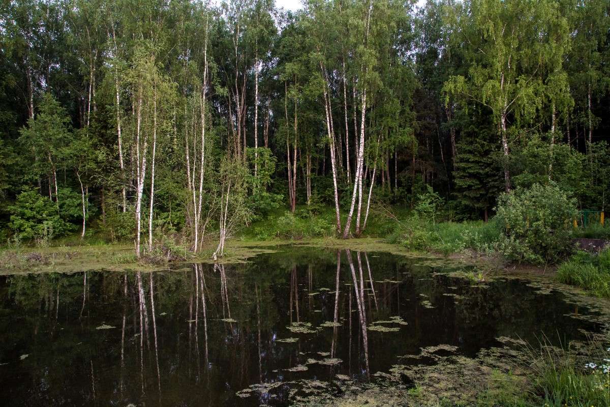 ... ����� Viktor Nogovitsin �� PhotoGeek.ru #������ ��� �������