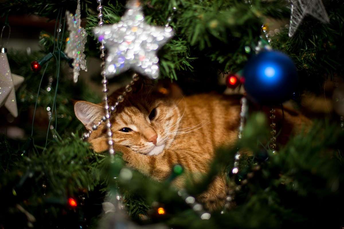 ���� ����� ���.... ����� Viktor Nogovitsin �� PhotoGeek.ru #�������� ���