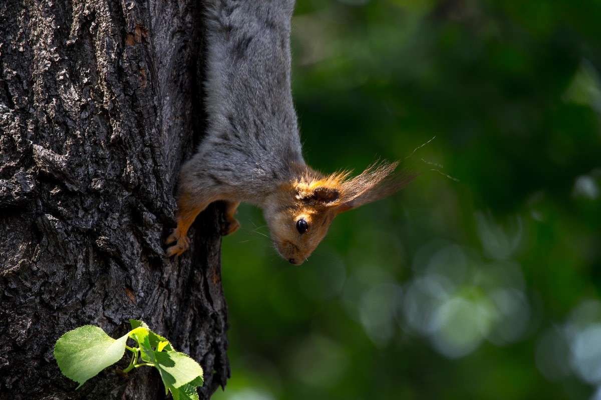 ... ����� Viktor Nogovitsin �� PhotoGeek.ru #�������� ���