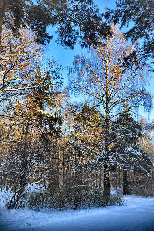 *** ����� Viktor Nogovitsin �� PhotoGeek.ru #������ ��� �������