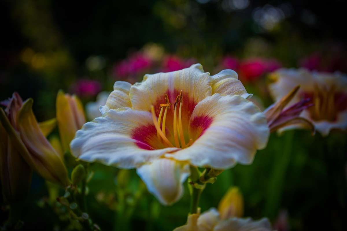 ... ����� Viktor Nogovitsin �� PhotoGeek.ru #�����