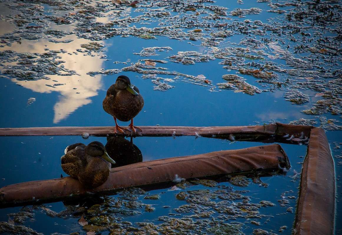 ... ����� Viktor Nogovitsin �� PhotoGeek.ru #�������� ��� #������ ��� �������