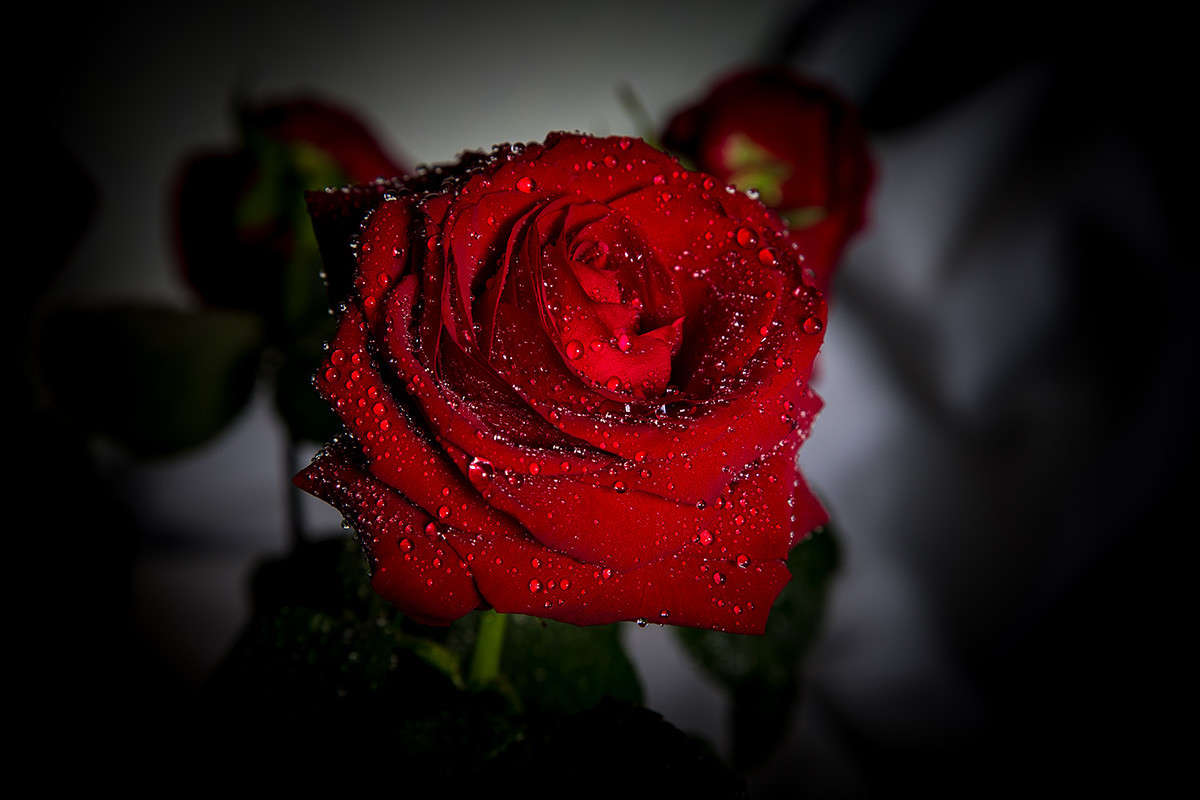 ... ����� Viktor Nogovitsin �� PhotoGeek.ru #�����