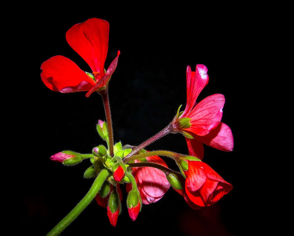 ... ����� Viktor Nogovitsin �� PhotoGeek.ru #�����