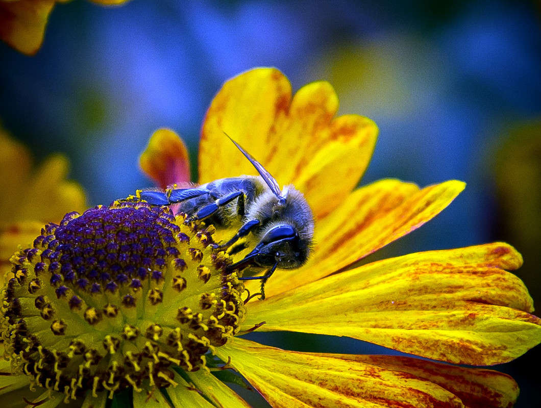 ... ����� Viktor Nogovitsin �� PhotoGeek.ru #�����