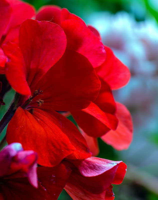 ... ����� Viktor Nogovitsin �� PhotoGeek.ru #�����