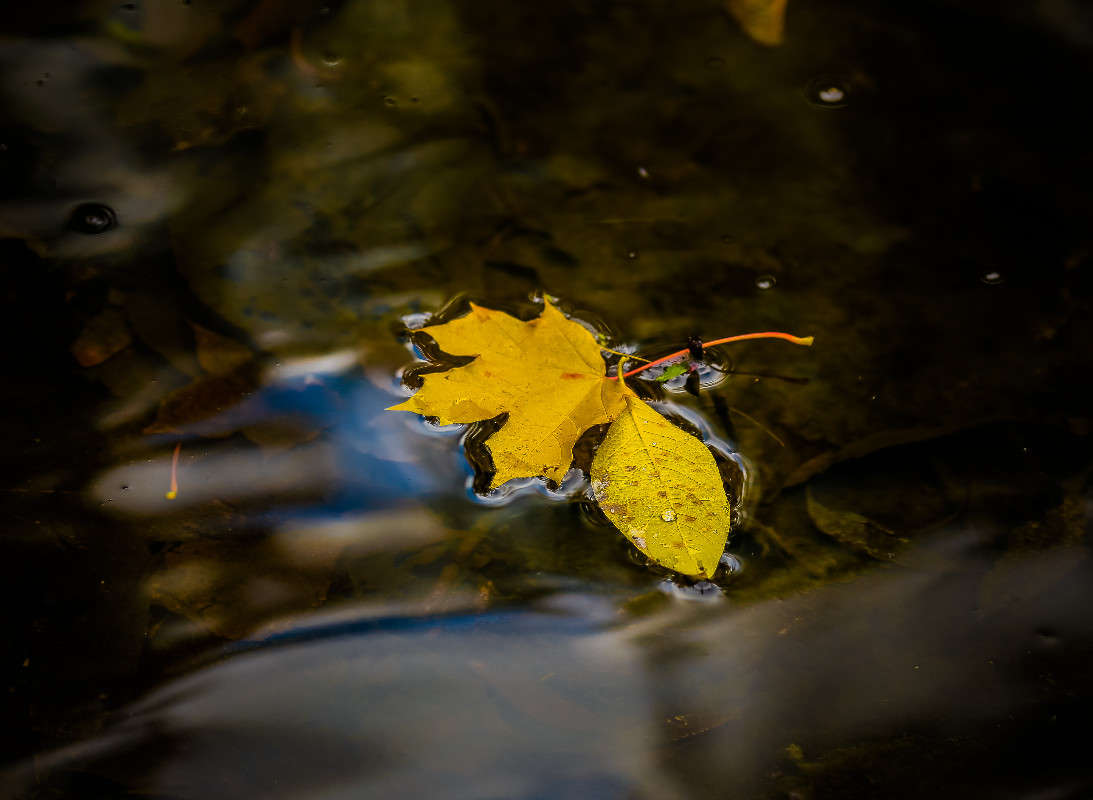 ... ����� Viktor Nogovitsin �� PhotoGeek.ru #�����