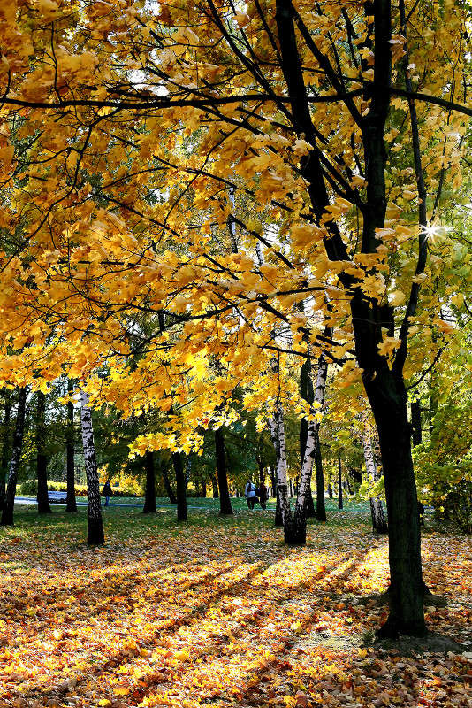 ... ����� Viktor Nogovitsin �� PhotoGeek.ru #������ ��� �������