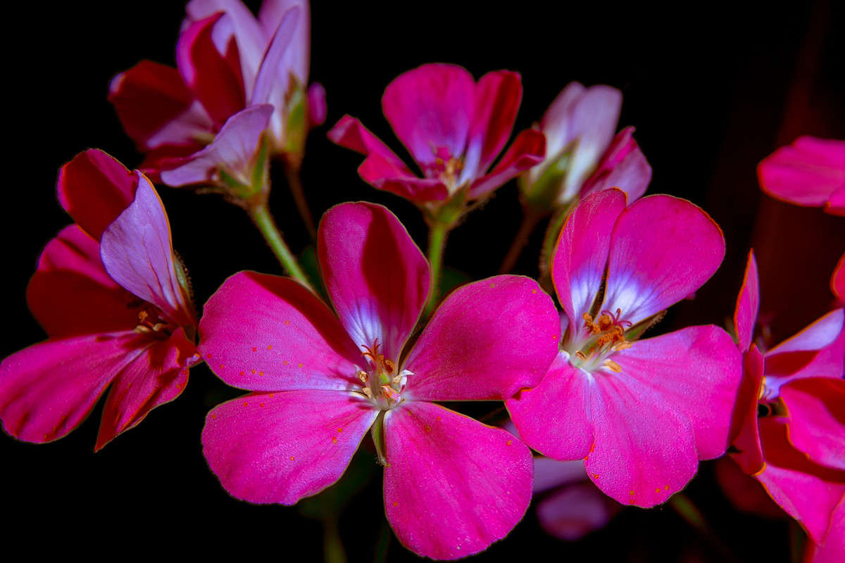 ... ����� Viktor Nogovitsin �� PhotoGeek.ru #�����