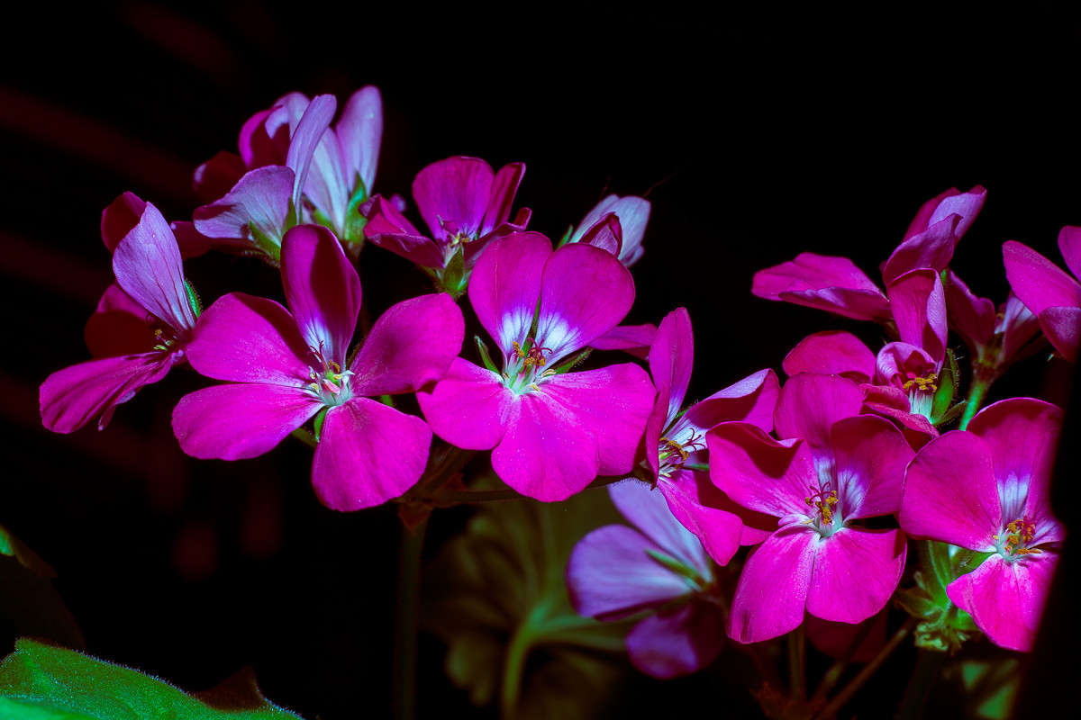 ... ����� Viktor Nogovitsin �� PhotoGeek.ru #�����