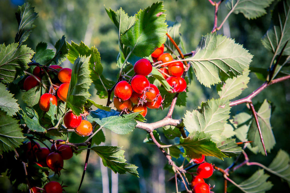 ... ����� Viktor Nogovitsin �� PhotoGeek.ru #������ ��� �������