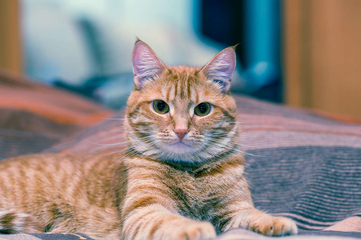 ... ����� Viktor Nogovitsin �� PhotoGeek.ru #�������� ��� #�������� ���