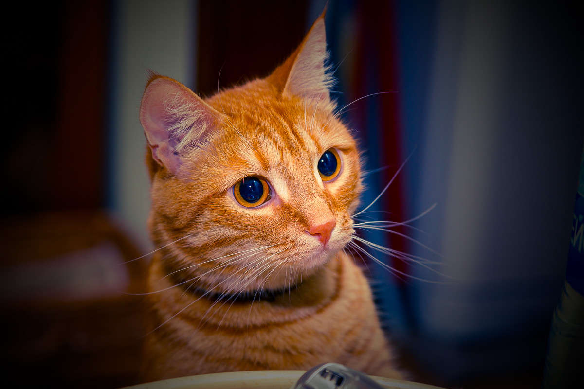 ... ����� Viktor Nogovitsin �� PhotoGeek.ru #�������� ���