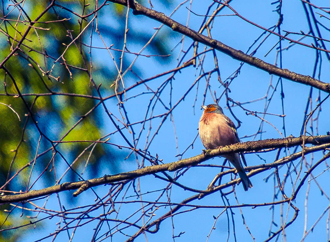 ... ����� Viktor Nogovitsin �� PhotoGeek.ru #������ ��� �������