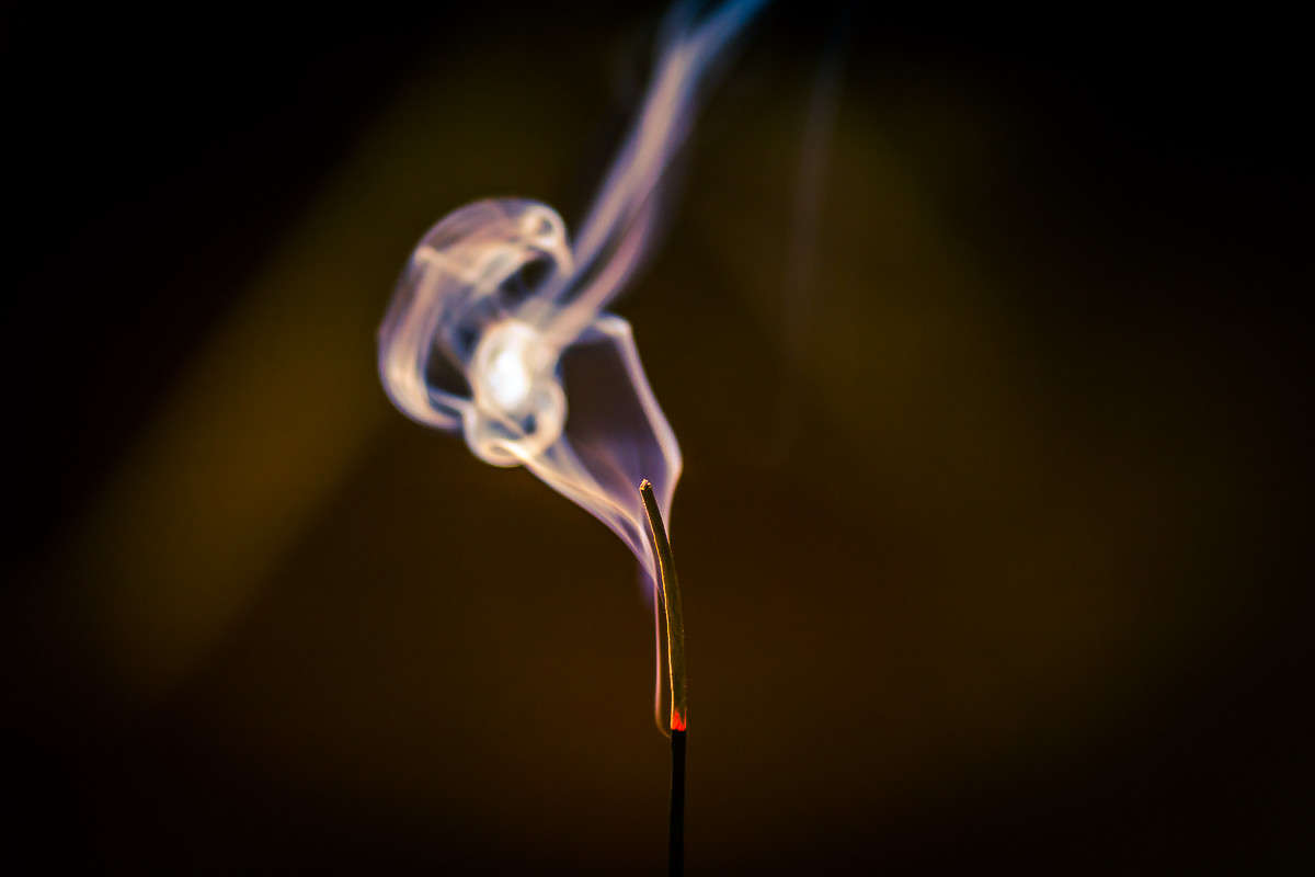 ... ����� Viktor Nogovitsin �� PhotoGeek.ru #�����