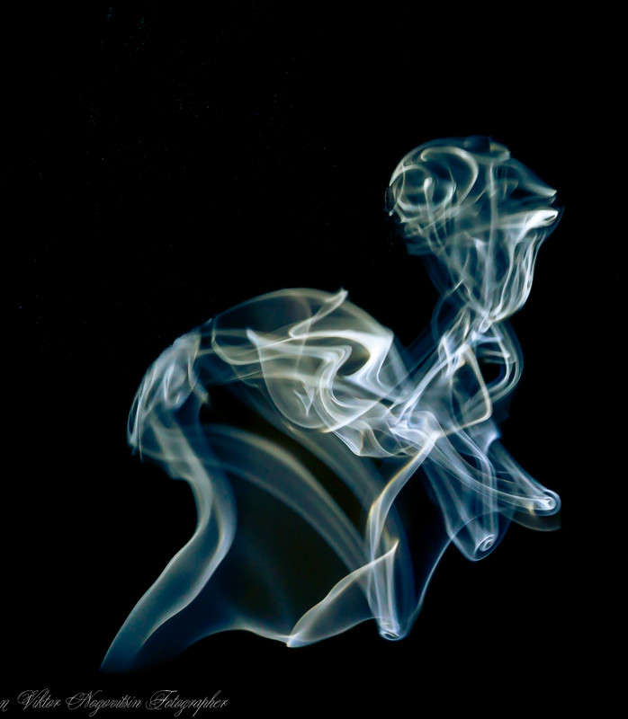 ... ����� Viktor Nogovitsin �� PhotoGeek.ru #�����