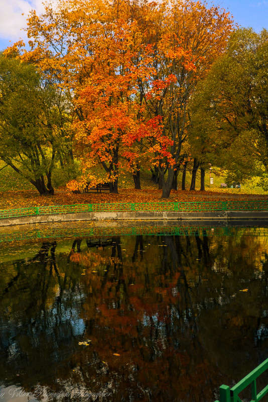 ... ����� Viktor Nogovitsin �� PhotoGeek.ru #������ ��� �������