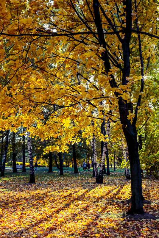 ... ����� Viktor Nogovitsin �� PhotoGeek.ru #������ ��� �������