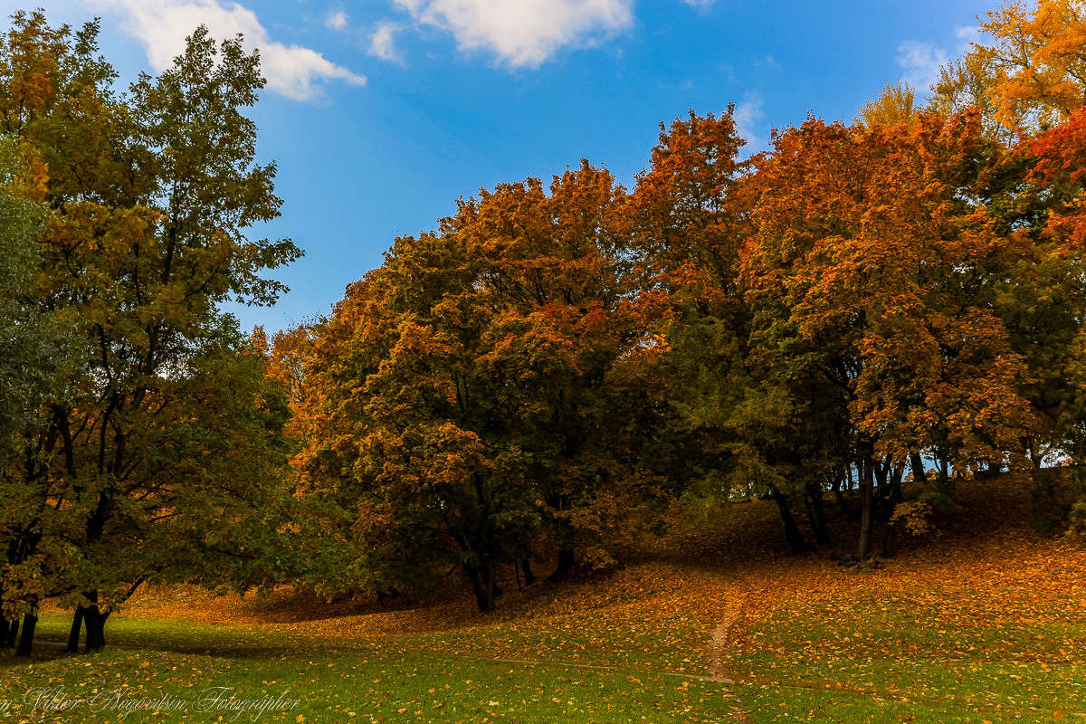 ... ����� Viktor Nogovitsin �� PhotoGeek.ru #������ ��� �������