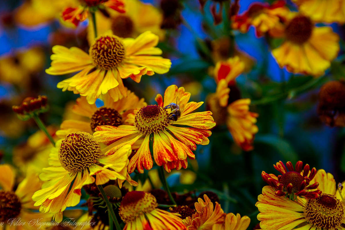 ... ����� Viktor Nogovitsin �� PhotoGeek.ru #�������� ��� #������ ��� ������� #����� �������������� #����� ��������