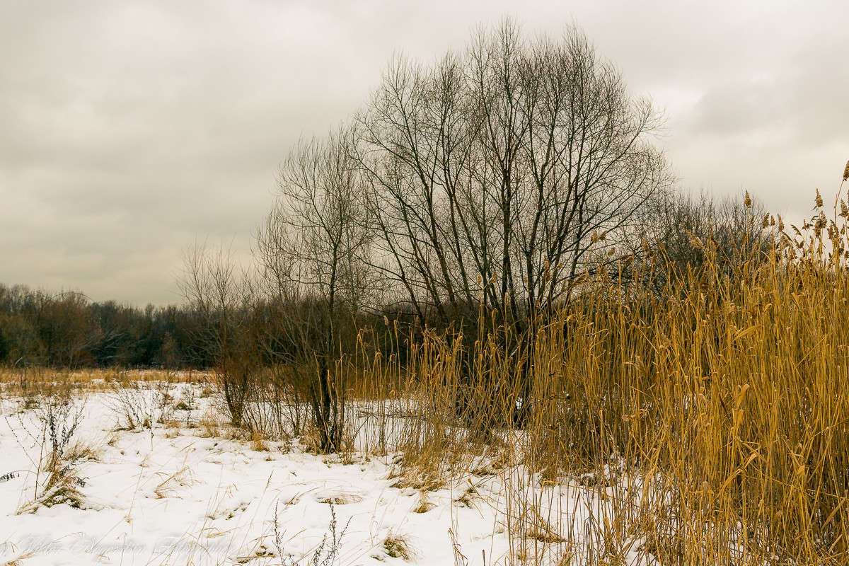 ... ����� Viktor Nogovitsin �� PhotoGeek.ru #������ ��� �������