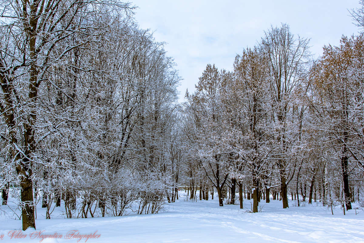 ... ����� Viktor Nogovitsin �� PhotoGeek.ru #������ ��� �������