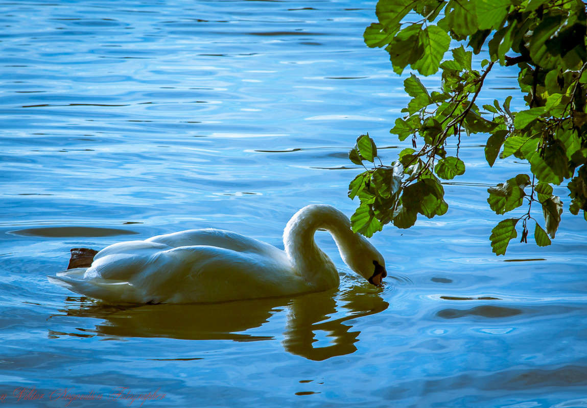 ... ����� Viktor Nogovitsin �� PhotoGeek.ru #�������� ��� #����� ��� ��� ���������