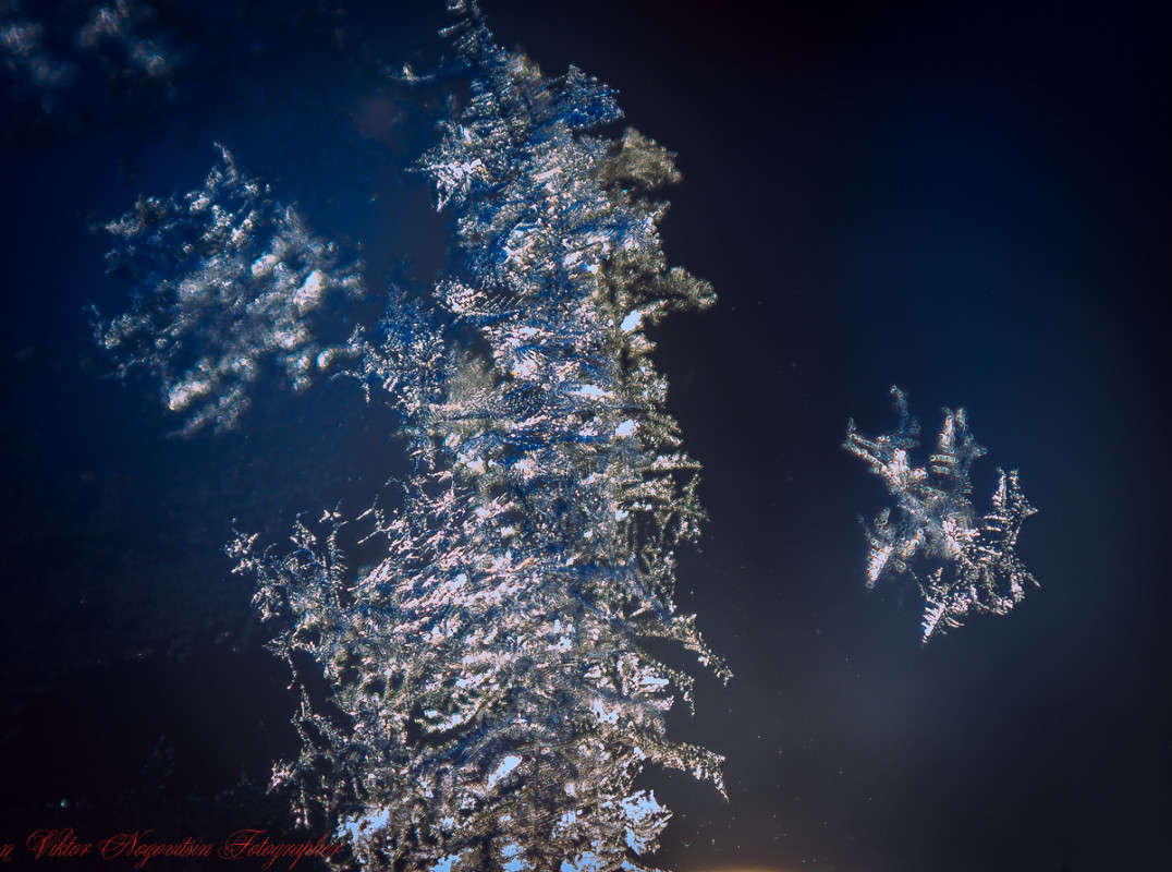 ������ ���������... ����� Viktor Nogovitsin �� PhotoGeek.ru #�����