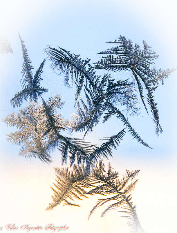 ������ ����� ����� Viktor Nogovitsin �� PhotoGeek.ru #����� #������ ��� �������