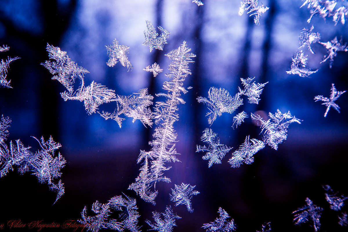 ������ ����� 2 ����� Viktor Nogovitsin �� PhotoGeek.ru #����� #������ ��� �������