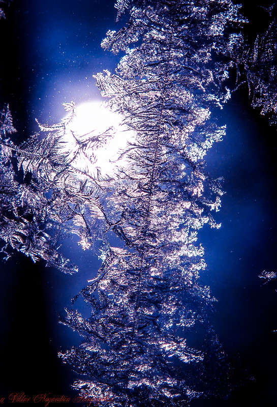 ������ ����� 3 ����� Viktor Nogovitsin �� PhotoGeek.ru #����� #������ ��� �������